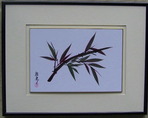 Bamboo 2