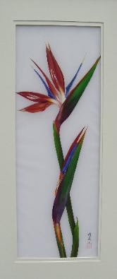Bird of Paradise II
