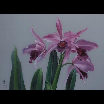 Catteya Orchid 2012