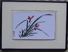 Chinese Orchid 1