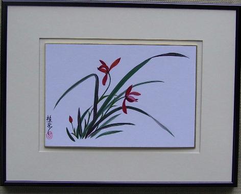 Chinese Orchid 1