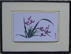 Chinese Orchid 2