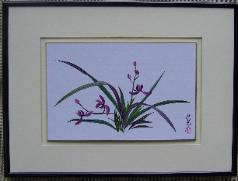 Chinese Orchid 3