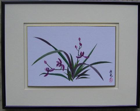 Chinese Orchid 3
