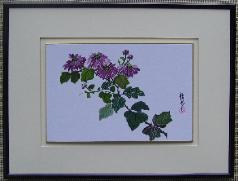 Chrysanthemum 3