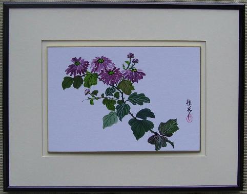 Chrysanthemum 3