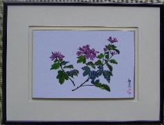 Chrysanthemum 2