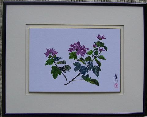 Chrysanthemum 2