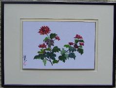 Chrysanthemum 1