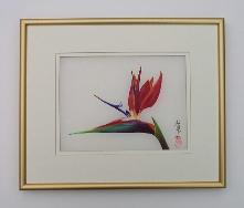 Bird of Paradise Small Silk 02