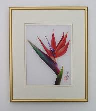 Bird of Paradise Small Silk 03