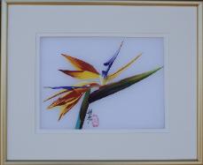 Bird of Paradise Small Silk 13