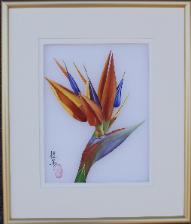 Bird of Paradise Small Silk 14