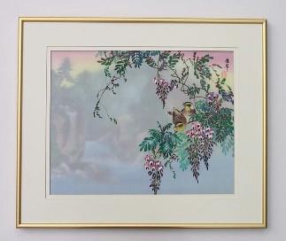 Wisteria