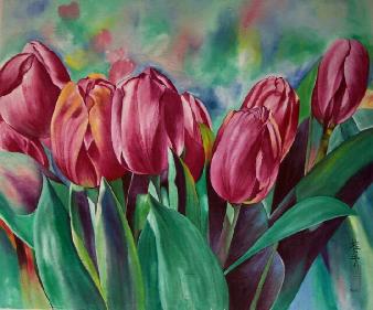 Tulip